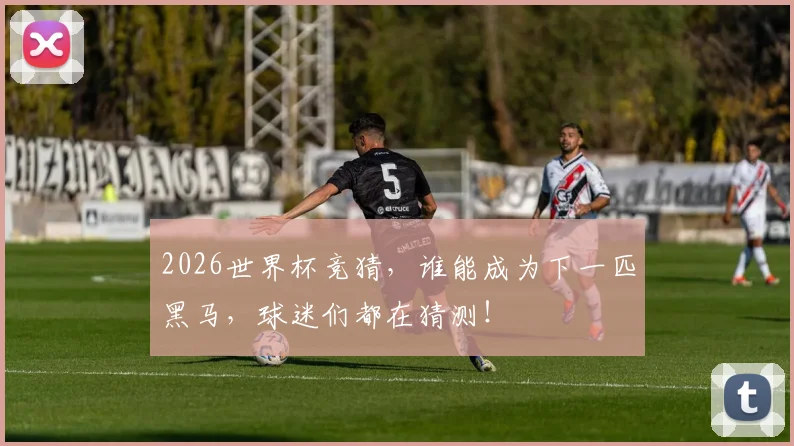 2026世界杯竞猜，谁能成为下一匹黑马，球迷们都在猜测！